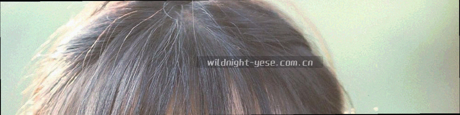 抽象数据流动纹理：荧光绿与暗夜紫的光迹在深色画布上交错延伸，象征访问数据的聚合与脱敏过程